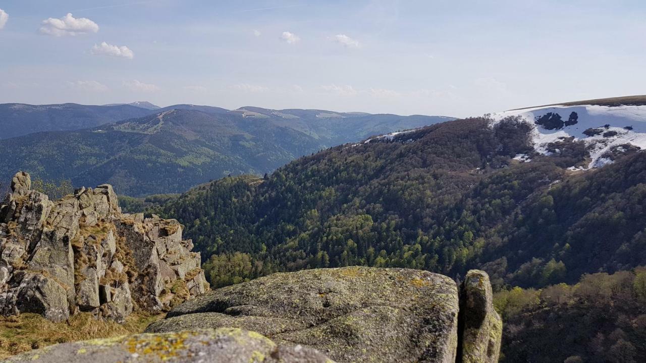 Les Dryades Gérardmer Buitenkant foto