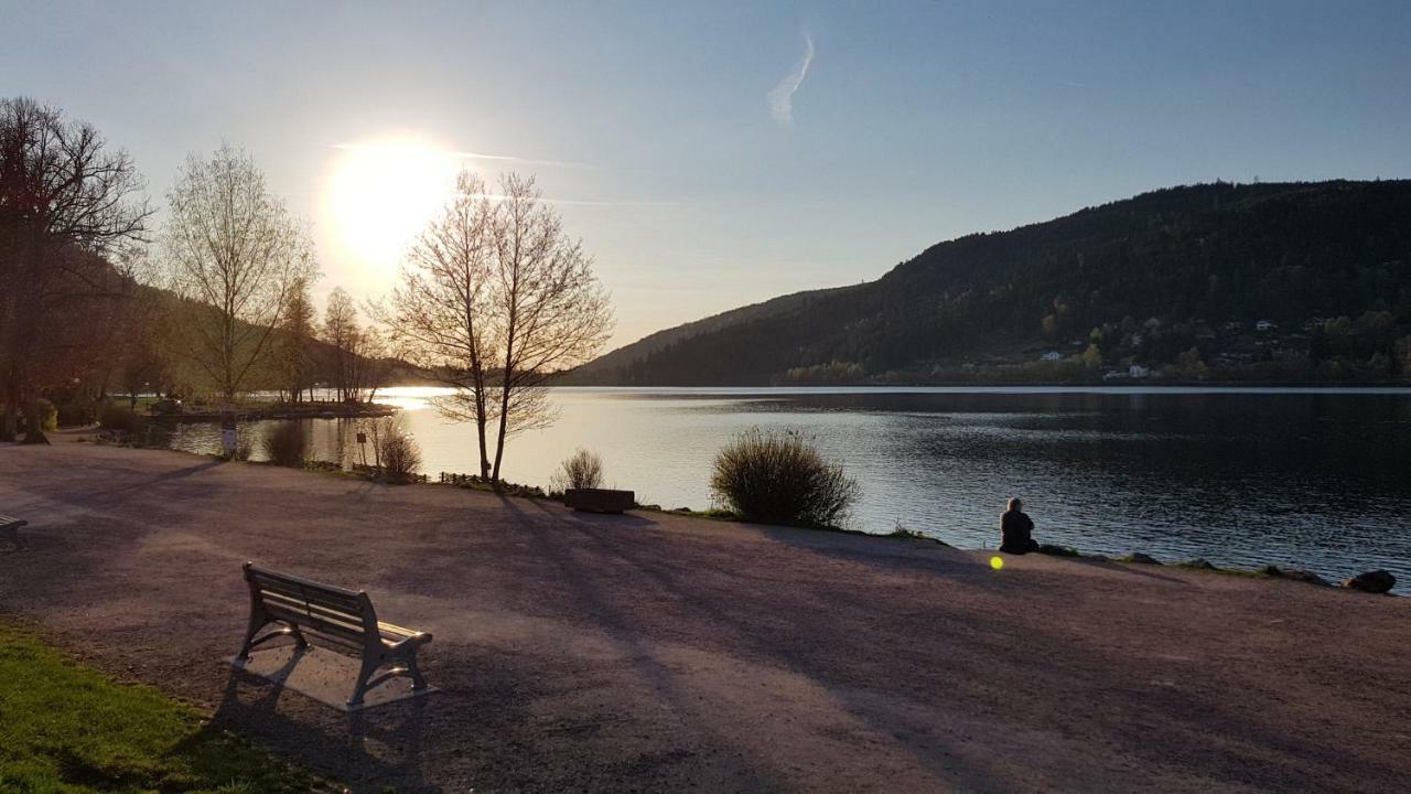 Les Dryades Gérardmer Buitenkant foto
