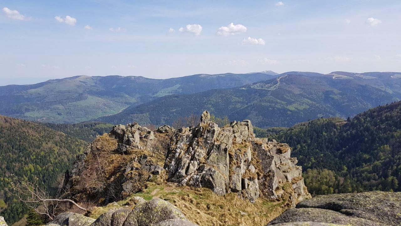 Les Dryades Gérardmer Buitenkant foto